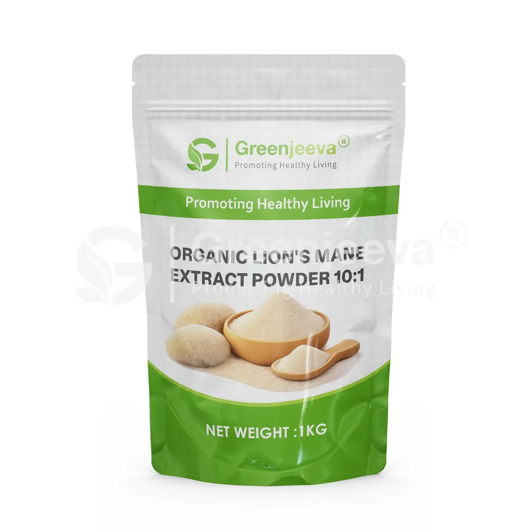 Organic Lion's mane Extract Powder 10 1 Pouch